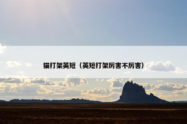 猫打架英短（英短打架厉害不厉害）