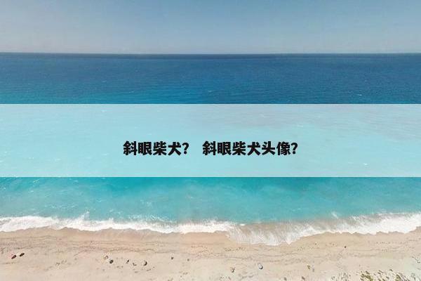 斜眼柴犬？ 斜眼柴犬头像？