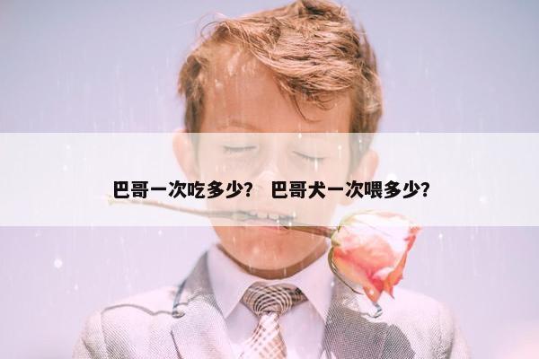 巴哥一次吃多少？ 巴哥犬一次喂多少？