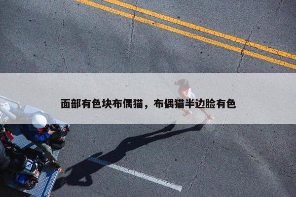 面部有色块布偶猫，布偶猫半边脸有色