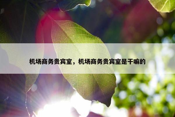 机场商务贵宾室，机场商务贵宾室是干嘛的