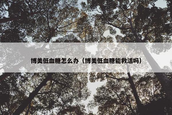 博美低血糖怎么办（博美低血糖能救活吗）