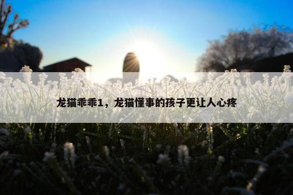 龙猫乖乖1，龙猫懂事的孩子更让人心疼