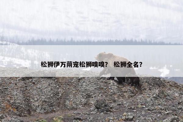 松狮伊万荫宠松狮嗅嗅？ 松狮全名？