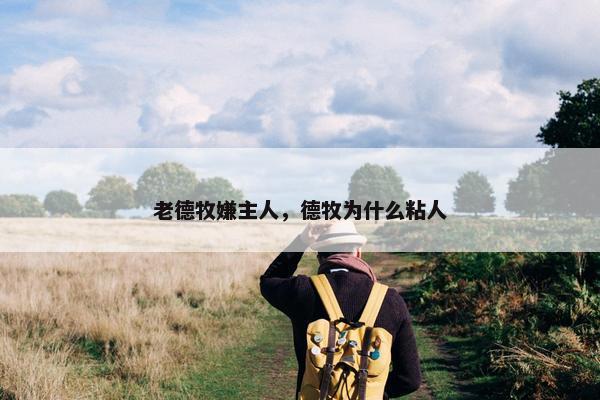 老德牧嫌主人，德牧为什么粘人