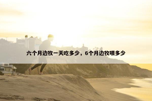 六个月边牧一天吃多少，6个月边牧喂多少