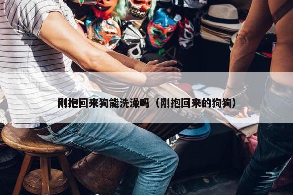 刚抱回来狗能洗澡吗（刚抱回来的狗狗）