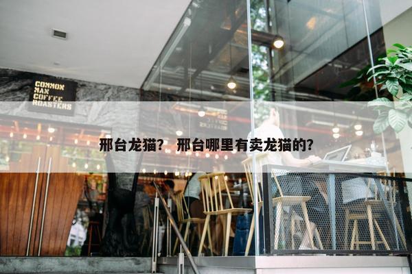 邢台龙猫？ 邢台哪里有卖龙猫的？