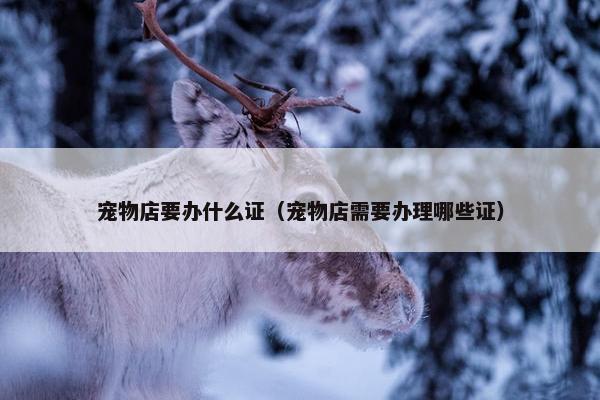 宠物店要办什么证（宠物店需要办理哪些证）