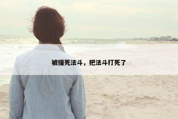 被撞死法斗，把法斗打死了