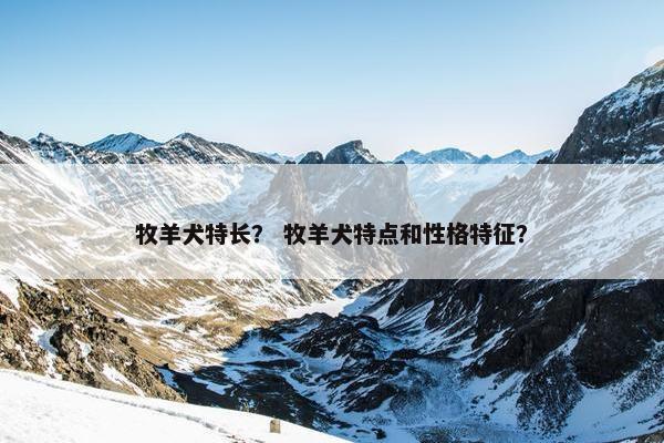 牧羊犬特长？ 牧羊犬特点和性格特征？