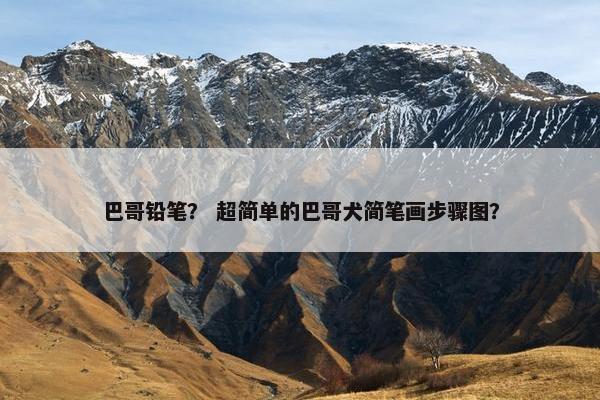 巴哥铅笔？ 超简单的巴哥犬简笔画步骤图？