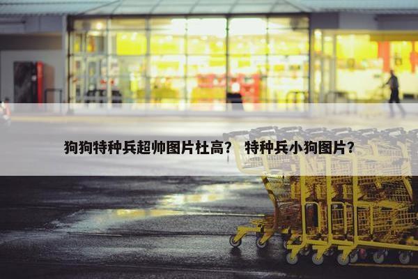 狗狗特种兵超帅图片杜高？ 特种兵小狗图片？