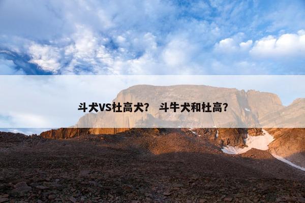 斗犬VS杜高犬？ 斗牛犬和杜高？