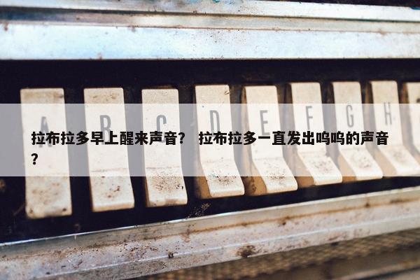 拉布拉多早上醒来声音？ 拉布拉多一直发出呜呜的声音？