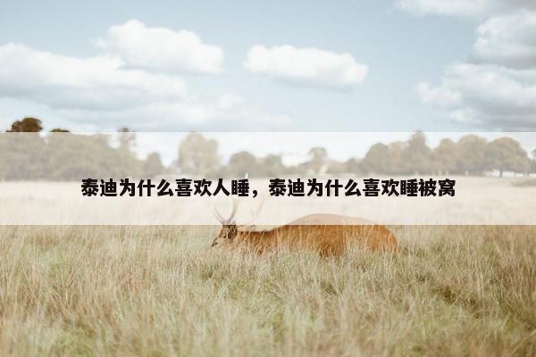 泰迪为什么喜欢人睡，泰迪为什么喜欢睡被窝