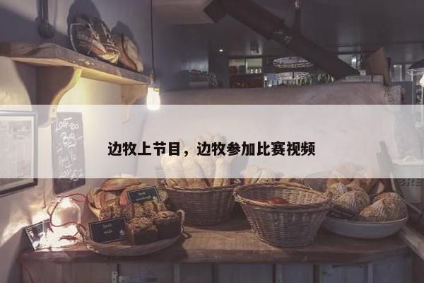边牧上节目，边牧参加比赛视频