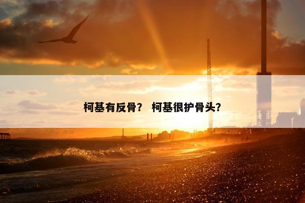 柯基有反骨？ 柯基很护骨头？
