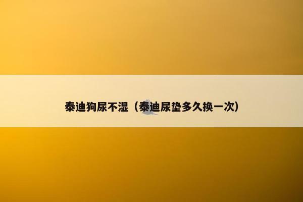 泰迪狗尿不湿（泰迪尿垫多久换一次）