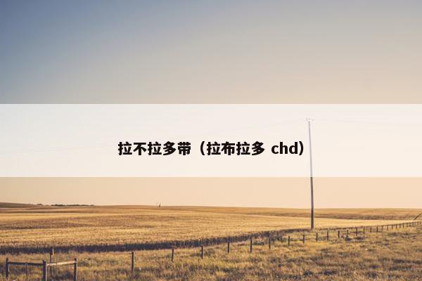 拉不拉多带（拉布拉多 chd）
