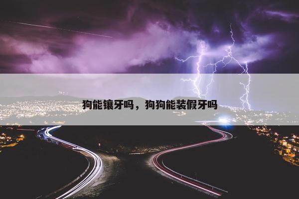 狗能镶牙吗，狗狗能装假牙吗