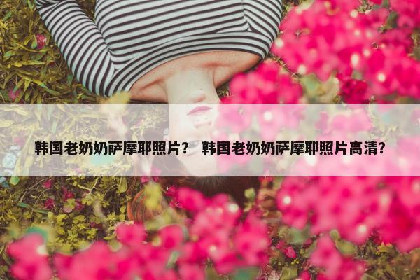 韩国老奶奶萨摩耶照片？ 韩国老奶奶萨摩耶照片高清？
