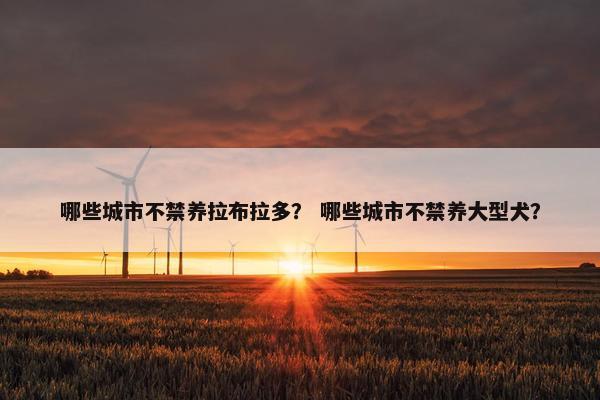 哪些城市不禁养拉布拉多？ 哪些城市不禁养大型犬？