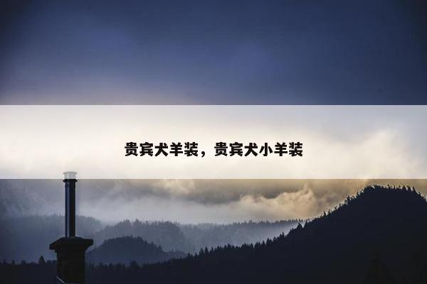贵宾犬羊装，贵宾犬小羊装