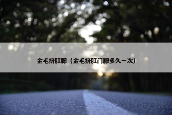 金毛挤肛腺（金毛挤肛门腺多久一次）