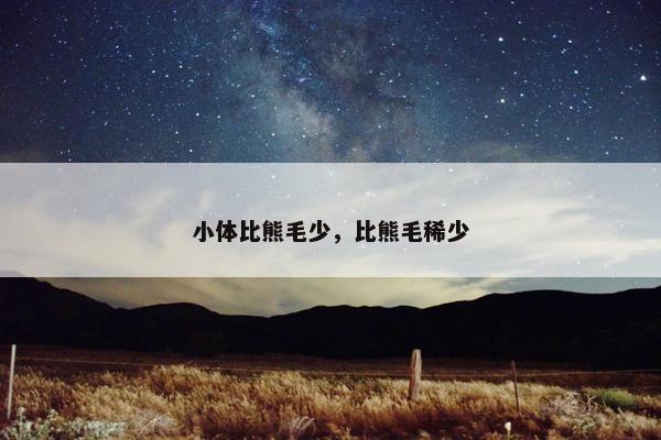 小体比熊毛少，比熊毛稀少