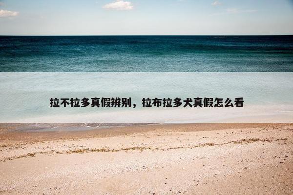 拉不拉多真假辨别，拉布拉多犬真假怎么看