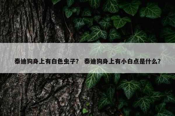 泰迪狗身上有白色虫子？ 泰迪狗身上有小白点是什么？