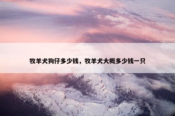 牧羊犬狗仔多少钱，牧羊犬大概多少钱一只