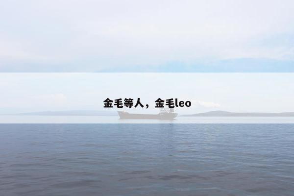 金毛等人，金毛leo