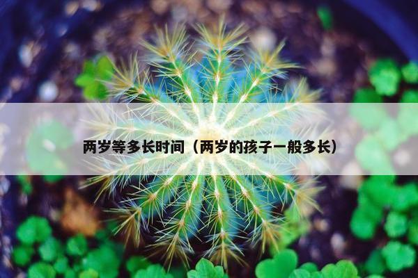 两岁等多长时间（两岁的孩子一般多长）