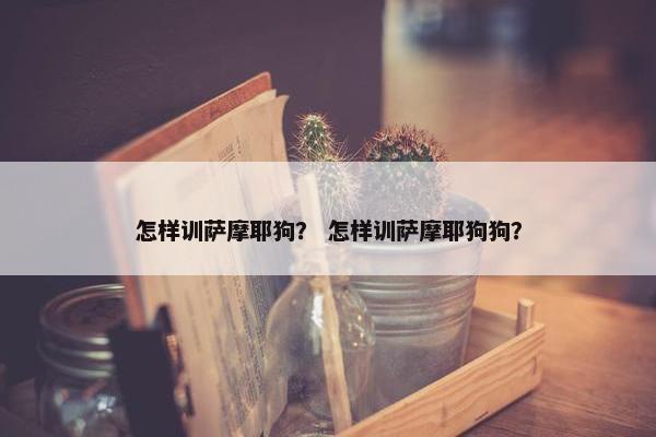怎样训萨摩耶狗？ 怎样训萨摩耶狗狗？