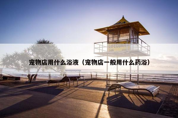宠物店用什么浴液（宠物店一般用什么药浴）