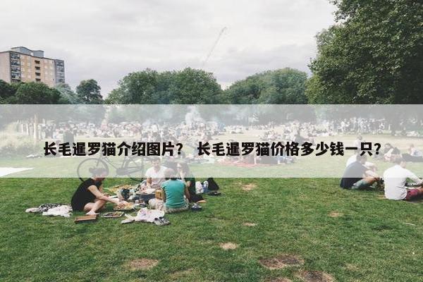 长毛暹罗猫介绍图片？ 长毛暹罗猫价格多少钱一只？
