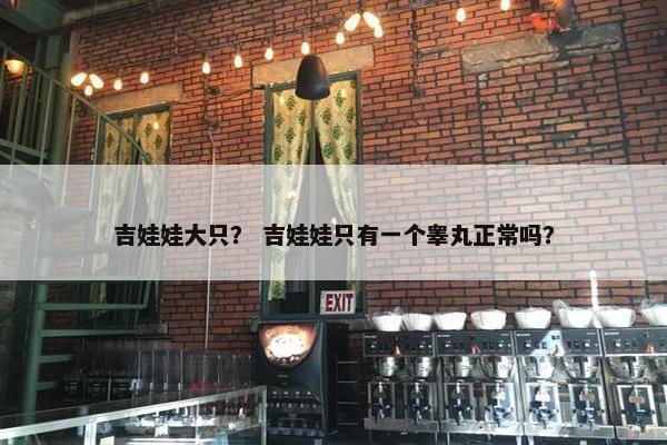 吉娃娃大只？ 吉娃娃只有一个睾丸正常吗？
