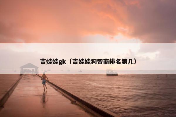 吉娃娃gk（吉娃娃狗智商排名第几）