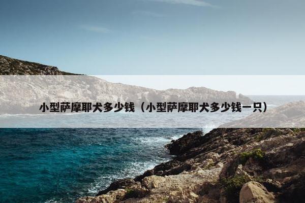 小型萨摩耶犬多少钱（小型萨摩耶犬多少钱一只）