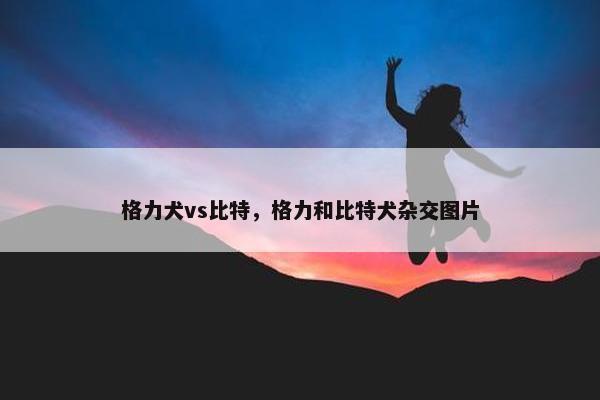 格力犬vs比特，格力和比特犬杂交图片