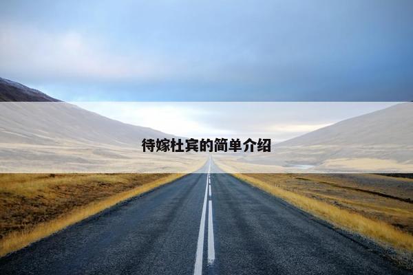 待嫁杜宾的简单介绍