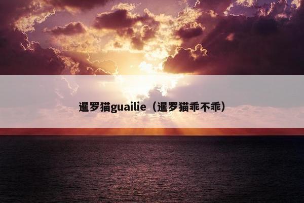 暹罗猫guailie（暹罗猫乖不乖）