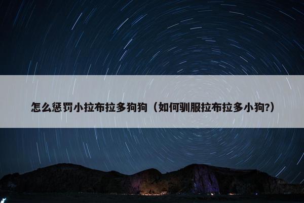 怎么惩罚小拉布拉多狗狗（如何驯服拉布拉多小狗?）
