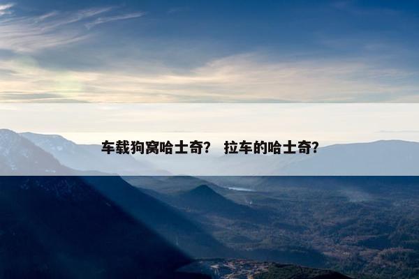 车载狗窝哈士奇？ 拉车的哈士奇？