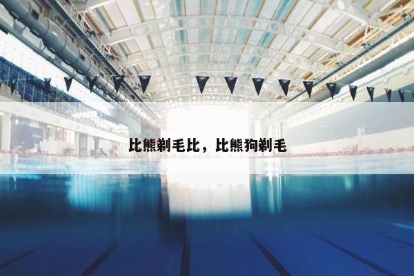 比熊剃毛比，比熊狗剃毛