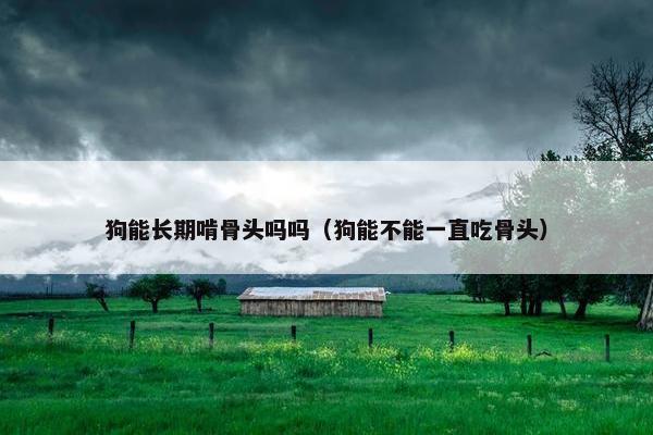 狗能长期啃骨头吗吗（狗能不能一直吃骨头）
