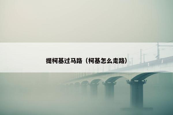 提柯基过马路（柯基怎么走路）