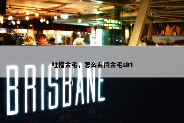 吐槽金毛，怎么看待金毛siri